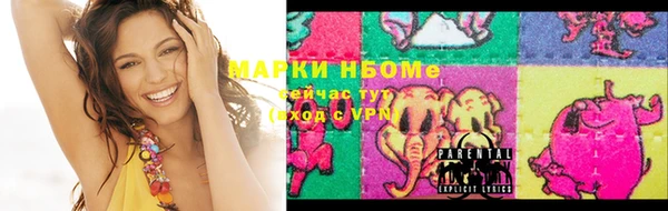 амф Майский