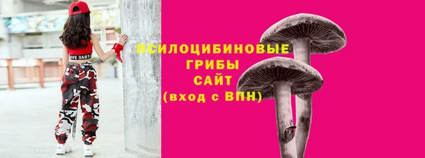 альфа пвп Нижневартовск