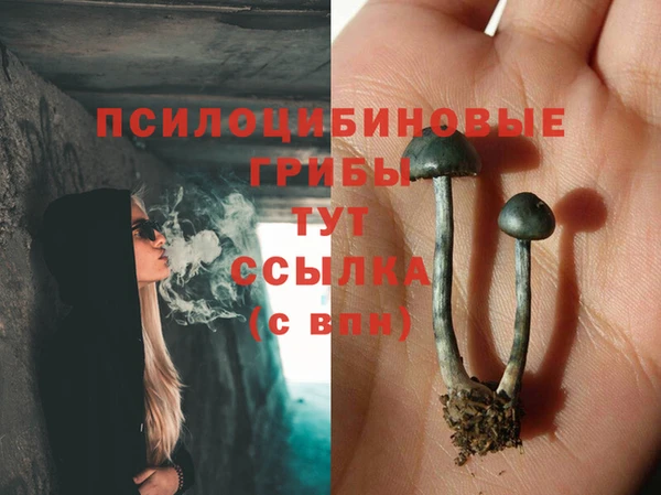 ешки Магадан