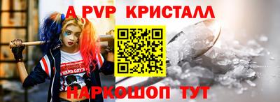 спиды Гай