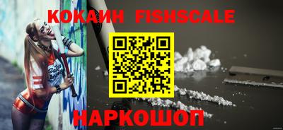 спиды Гай
