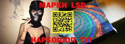 спиды Гай