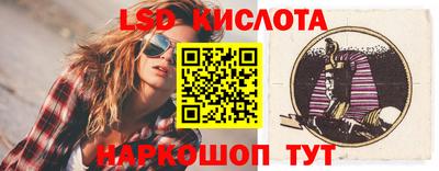 спиды Гай