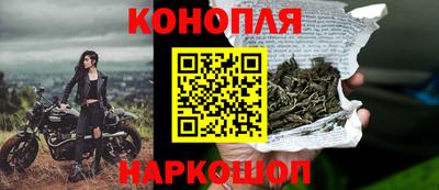 спиды Гай