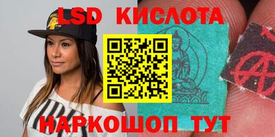 спиды Гай
