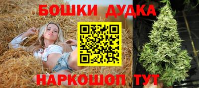 спиды Гай