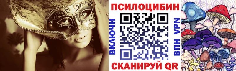 закладки  Магнитогорск  Псилоцибиновые грибы ЛСД 