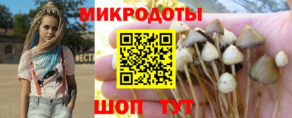 Галлюциногенные грибы мицелий Магнитогорск