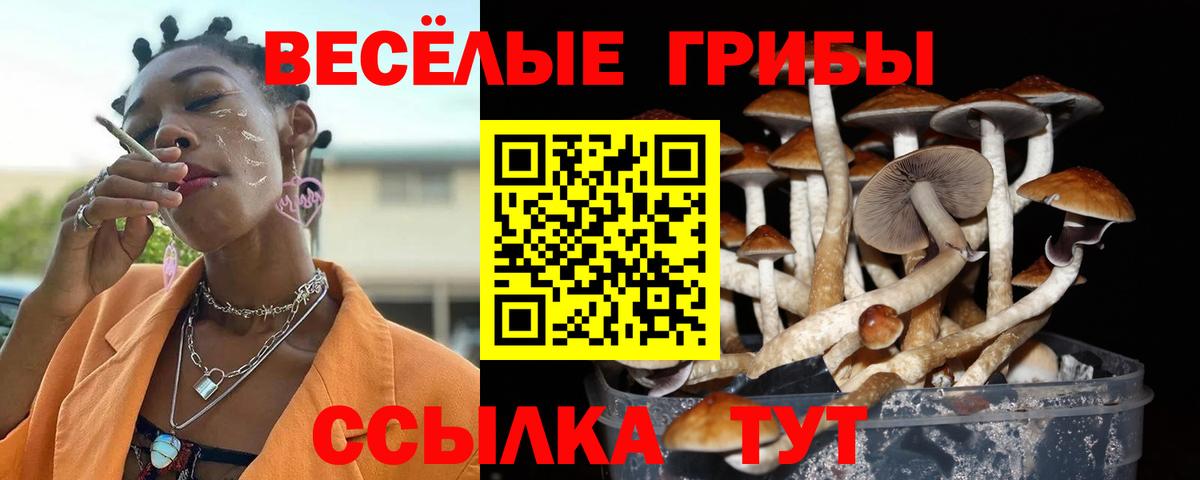 что такое наркотик  Галлюциногенные грибы Cubensis  Магнитогорск  Вход с VPN  Галлюциногенные грибы Psilocybine cubensis 